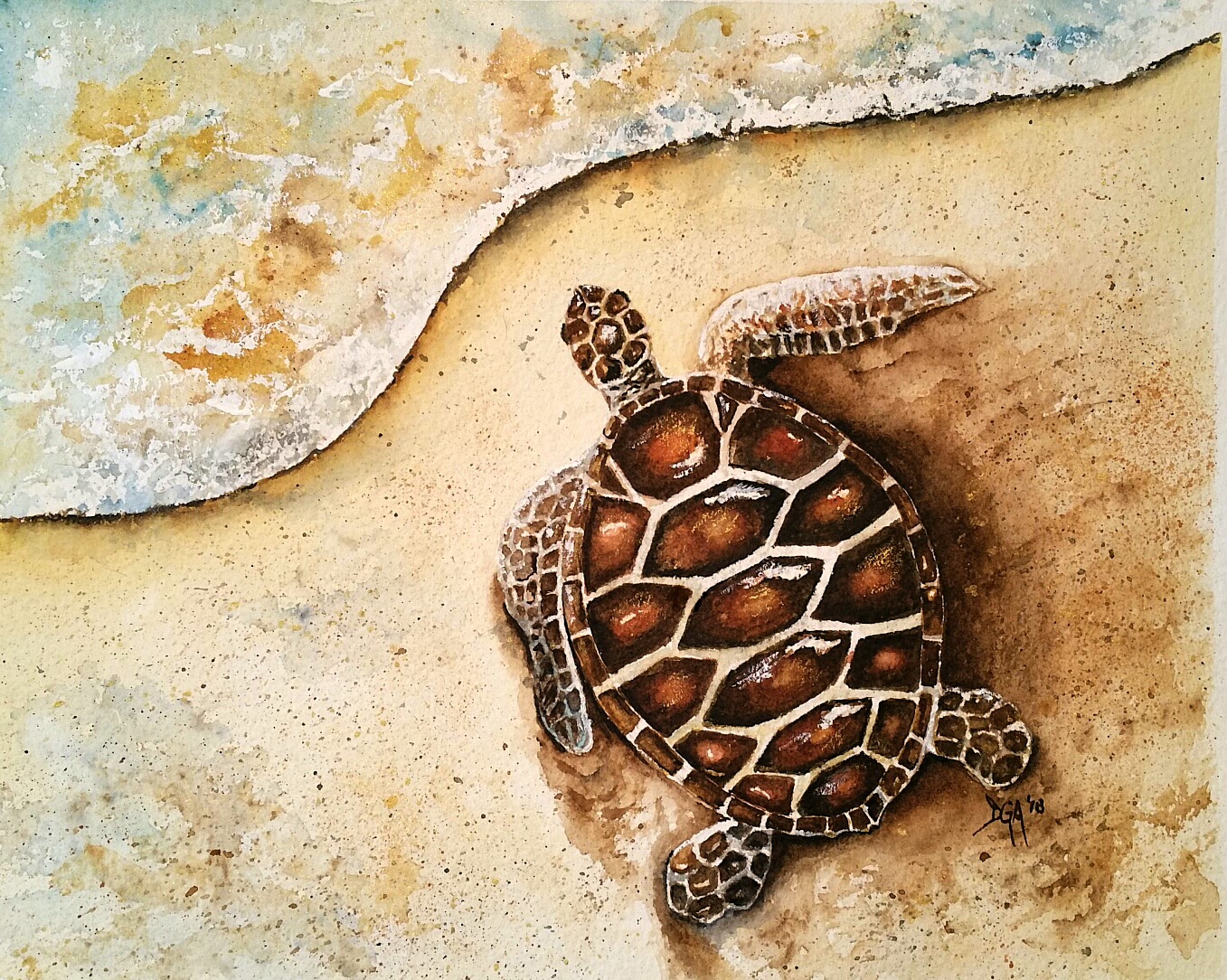 Watercolor Baby Sea Turtle Watercolors By Donnell Anderson